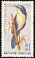 White-browed Scimitar Babbler Pomatorhinus schisticeps  1968 Birds 