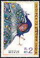 Indian Peafowl Pavo cristatus  1973 Indipex 73 3v set