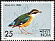 Indian Pitta Pitta brachyura  1975 Indian birds 