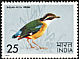 Indian Pitta Pitta brachyura