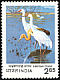 Siberian Crane Leucogeranus leucogeranus  1983 International crane workshop 