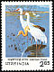 Siberian Crane Leucogeranus leucogeranus