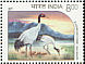Black-necked Crane Grus nigricollis  1994 Endangered birds Sheet