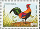 Red Junglefowl Gallus gallus  1996 World poultry congress 