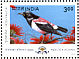 Rosy Starling Pastor roseus  2000 Migratory birds 