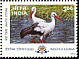 White Stork Ciconia ciconia  2000 Migratory birds 