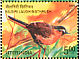 Nilgiri Laughingthrush Montecincla cachinnans  2006 Endangered birds of India 