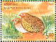 Manipur Bush Quail Perdicula manipurensis