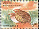 Manipur Bush Quail Perdicula manipurensis  2006 Endangered birds of India Booklet