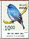 Nilgiri Flycatcher Eumyias albicaudatus  2016 Birds Sheet