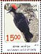 Andaman Woodpecker Dryocopus hodgei  2016 Birds Sheet