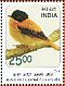 Black-and-orange Flycatcher Ficedula nigrorufa  2016 Birds Sheet