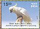 Sulphur-crested Cockatoo Cacatua galerita  2016 Exotic birds Sheet