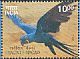 Hyacinth Macaw Anodorhynchus hyacinthinus  2016 Exotic birds 