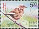 Nilgiri Pipit Anthus nilghiriensis  2017 Vulnerable birds 