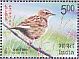 Nilgiri Pipit Anthus nilghiriensis  2017 Vulnerable birds Sheet