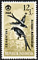 Black Drongo Dicrurus macrocercus  1965 Social day 