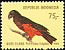 Pesquet's Parrot Psittrichas fulgidus