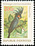 Palm Cockatoo Probosciger aterrimus  1981 Cockatoos 