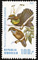 Western Parotia Parotia sefilata  1982 Birds of Paradise 