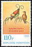 Wilson's Bird-of-paradise Diphyllodes respublica  1983 Birds of Paradise 