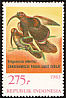 Black-billed Sicklebill Drepanornis albertisi  1983 Birds of Paradise 