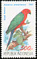 Moluccan King Parrot Alisterus amboinensis