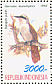 White-crested Laughingthrush Garrulax leucolophus  1992 Birds  MS