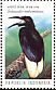 Twelve-wired Bird-of-paradise Seleucidis melanoleucus  1994 Flora and fauna day 10v sheet