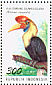 Knobbed Hornbill Rhyticeros cassidix