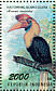 Knobbed Hornbill Rhyticeros cassidix  1996 Aseanpex 96  MS