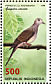 Zebra Dove Geopelia striata  1998 Flora and fauna day 10v sheet