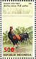 Red Junglefowl Gallus gallus