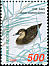 Pacific Black Duck Anas superciliosa  1998 Indonesian ducks 