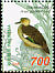 Sunda Teal Anas gibberifrons  1998 Indonesian ducks 