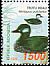 Green Pygmy Goose Nettapus pulchellus  1998 Indonesian ducks 
