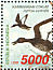 Hardhead Aythya australis  1998 Indonesian ducks  MS