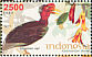 Helmeted Hornbill Rhinoplax vigil  2008 Flora and fauna 11v sheet