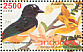 Rufous-tailed Shama Copsychus pyrropygus  2008 Flora and fauna 11v sheet