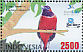 Red-naped Trogon Harpactes kasumba  2009 Indonesian birds Sheet