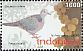 Zebra Dove Geopelia striata  2010 Flora and fauna 11v set from 4 sheets