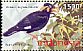 Nias Hill Myna Gracula robusta  2010 Flora and fauna 11v set from 4 sheets