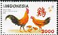 Red Junglefowl Gallus gallus  2017 Year of the Rooster 