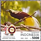 Lesser Bird-of-paradise Paradisaea minor