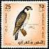 Peregrine Falcon Falco peregrinus