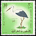 White Stork Ciconia ciconia  1968 Iraqi birds 