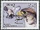 Lanner Falcon Falco biarmicus