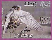 Peregrine Falcon Falco peregrinus