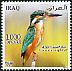Common Kingfisher Alcedo atthis  2015 Iraqi birds 