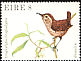 Eurasian Wren Troglodytes troglodytes